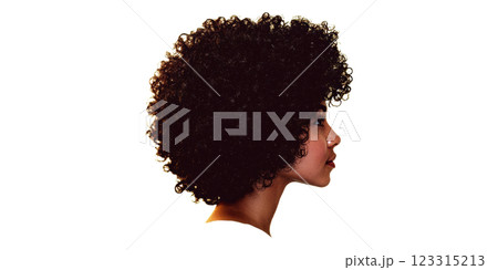 Curly hair profile isolated on transparent background Curly hair profile isolated on transparent background 123315213