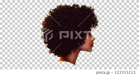 Curly hair profile isolated on transparent background Curly hair profile isolated on transparent background 123315213