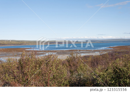 View of Ozerko Bay on the Barents Sea 123315556