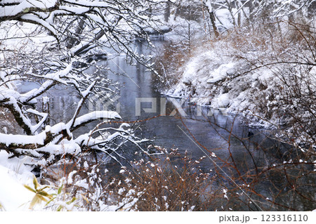 奥日光の雪景色・・華厳の滝、戦場ヶ原 123316110