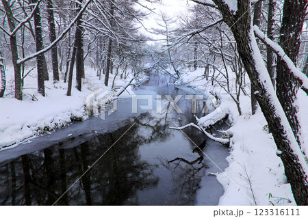 奥日光の雪景色・・華厳の滝、戦場ヶ原 123316111