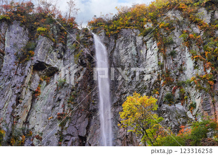 秋の米子大瀑布:紅葉に包まれる長野の絶景名所 秋の米子大瀑布:紅葉に包まれる長野の絶景名所 123316258