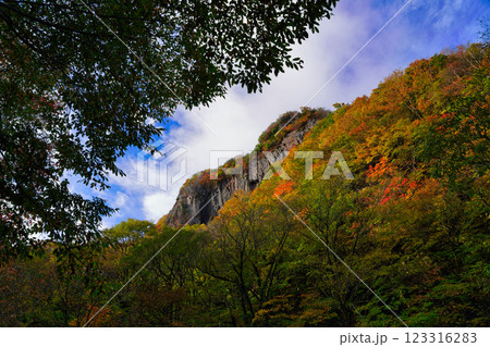 長野・米子大瀑布：雄大な自然風景 123316283