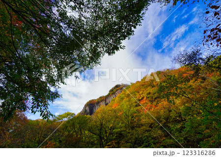 長野・米子大瀑布:雄大な自然風景 長野・米子大瀑布:雄大な自然風景 123316286