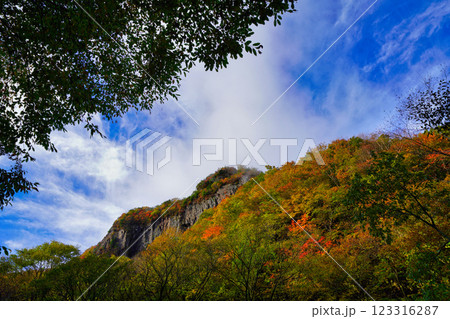 長野・米子大瀑布:雄大な自然風景 長野・米子大瀑布:雄大な自然風景 123316287