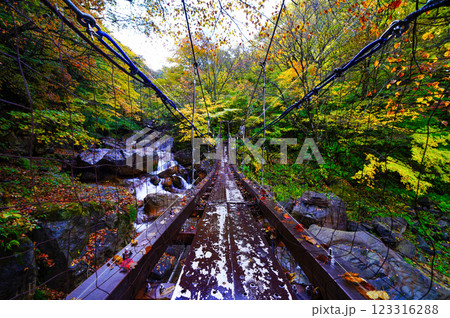 長野・米子大瀑布：雄大な自然風景 123316288
