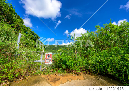 石垣島の秘境 – 静寂に包まれた田舎の風景 123316484