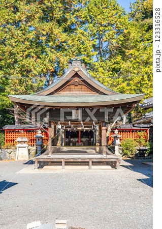 京都市左京区上高野三宅町 洛北 三宅八幡宮(虫八幡さん)かん虫封じ(虫退治の神様)拝殿 京都市左京区上高野三宅町 洛北 三宅八幡宮(虫八幡さん)かん虫封じ(虫退治の神様)拝殿 123316528