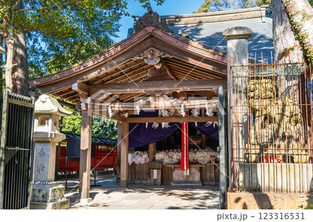京都市左京区上高野三宅町　洛北　三宅八幡宮（虫八幡さん）かん虫封じ（虫退治の神様）本殿 123316531