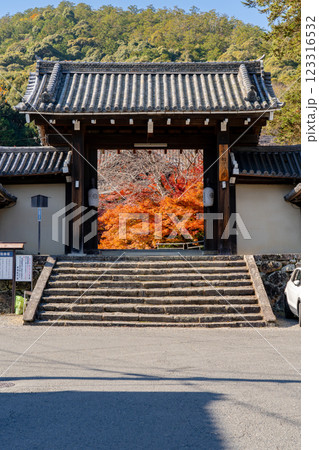 京都市左京区岩倉上蔵町　岩倉山　実相院門跡（岩倉御殿）　山門の紅葉 123316532