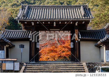 京都市左京区岩倉上蔵町　岩倉山　実相院門跡（岩倉御殿）　山門の紅葉 123316533