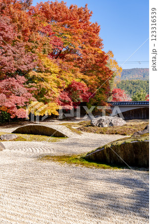 京都市左京区岩倉上蔵町 岩倉山 実相院門跡(岩倉御殿) 枯山水庭園 紅葉 京都市左京区岩倉上蔵町 岩倉山 実相院門跡(岩倉御殿) 枯山水庭園 紅葉 123316539