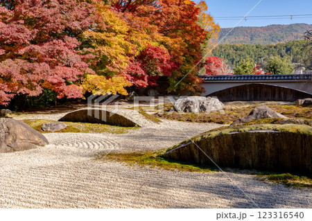 京都市左京区岩倉上蔵町 岩倉山 実相院門跡(岩倉御殿) 枯山水庭園 紅葉 京都市左京区岩倉上蔵町 岩倉山 実相院門跡(岩倉御殿) 枯山水庭園 紅葉 123316540