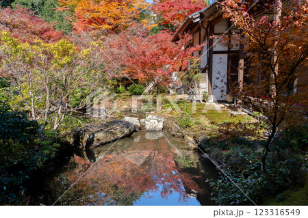 京都市左京区岩倉上蔵町　岩倉山　実相院門跡（岩倉御殿）　池泉回遊式庭園　紅葉 123316549
