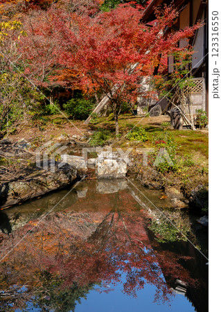 京都市左京区岩倉上蔵町 岩倉山 実相院門跡(岩倉御殿) 池泉回遊式庭園 紅葉 京都市左京区岩倉上蔵町 岩倉山 実相院門跡(岩倉御殿) 池泉回遊式庭園 紅葉 123316550
