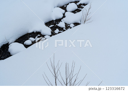 雪が降り積もる川岸と埋もれた草木　a-1 123316672