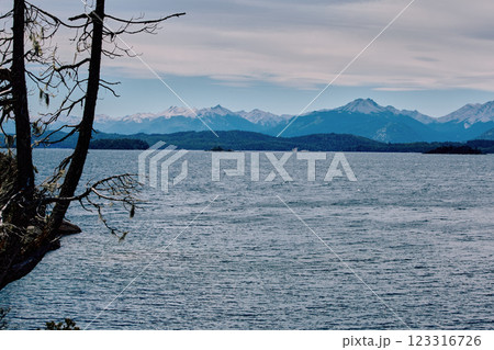 Dramatic sunset over the lake and trees. 123316726