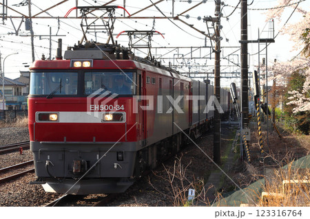 春の宇都宮線を行く専用貨物列車：西濃運輸カンガルーライナーSS60（栃木県内） 123316764