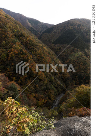 色付き始めた秋の渓谷 色付き始めた秋の渓谷 123316848
