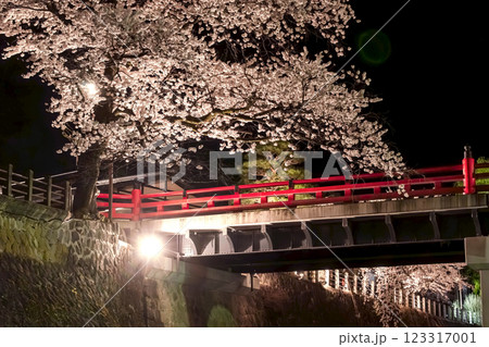 210408中橋夜桜g044 210408中橋夜桜g044 123317001