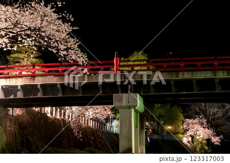 210408中橋夜桜g048 123317003