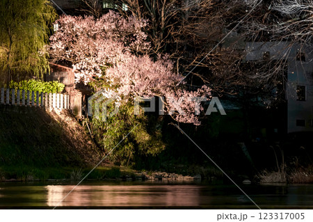 210408中橋夜桜g056 210408中橋夜桜g056 123317005