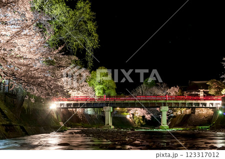 210408中橋夜桜g074 123317012