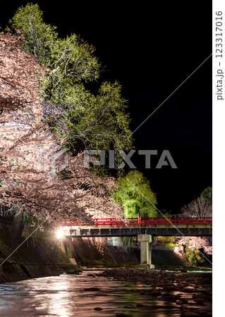 210408中橋夜桜g082 210408中橋夜桜g082 123317016