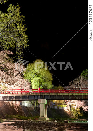 210408中橋夜桜g104 210408中橋夜桜g104 123317025