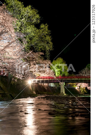 210408中橋夜桜g105 123317026