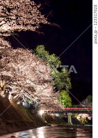 210408中橋夜桜g113 210408中橋夜桜g113 123317028