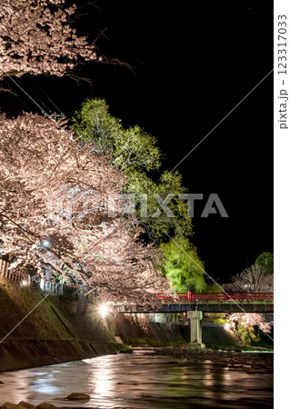 210408中橋夜桜g121 210408中橋夜桜g121 123317033