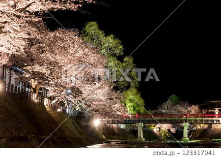 210408中橋夜桜g145 123317041