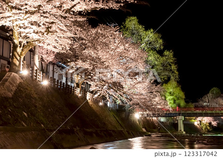 210408中橋夜桜g147 210408中橋夜桜g147 123317042