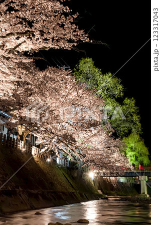 210408中橋夜桜g151 123317043