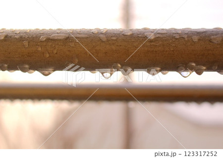 雨の日の物干し竿 雨の日の物干し竿 123317252
