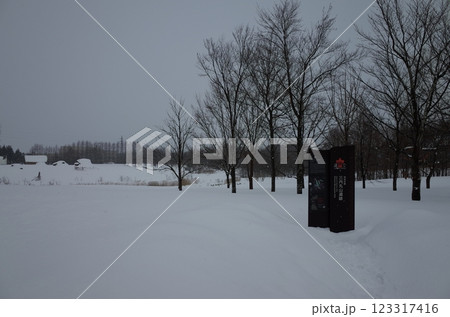 雪の三内丸山遺跡の風景_青森 雪の三内丸山遺跡の風景_青森 123317416