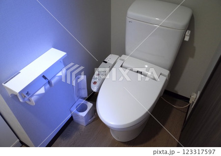 ダブルルームのトイレ風景_青森駅前 ダブルルームのトイレ風景_青森駅前 123317597