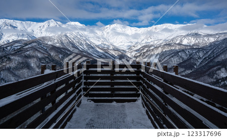 白馬岩岳スノーフィールド　冬のアクティビティ　長野県白馬村 123317696