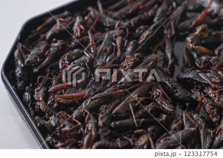 いなごの甘露煮 昆虫食 123317754