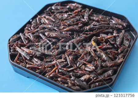 いなごの甘露煮 昆虫食 いなごの甘露煮 昆虫食 123317756