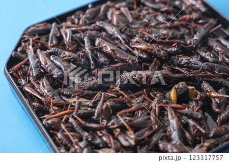 いなごの甘露煮 昆虫食 いなごの甘露煮 昆虫食 123317757