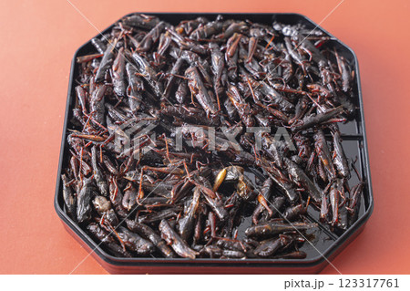 いなごの甘露煮 昆虫食 123317761