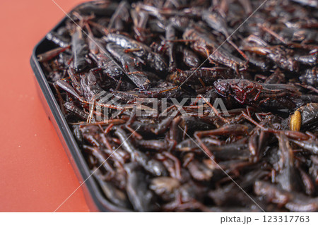 いなごの甘露煮 昆虫食 123317763