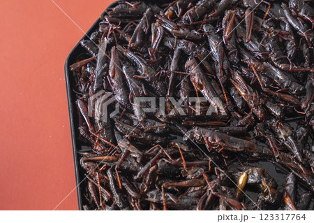 いなごの甘露煮 昆虫食 いなごの甘露煮 昆虫食 123317764