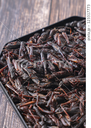 いなごの甘露煮 昆虫食 いなごの甘露煮 昆虫食 123317773