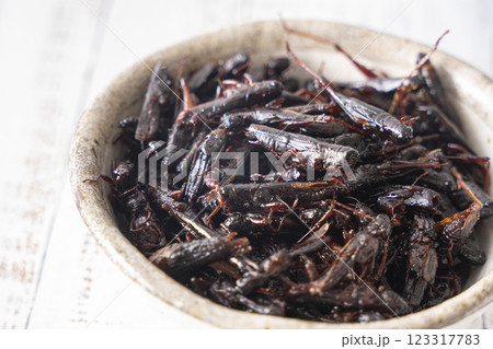 いなごの甘露煮 昆虫食 いなごの甘露煮 昆虫食 123317783