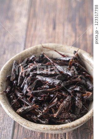 いなごの甘露煮 昆虫食 123317788
