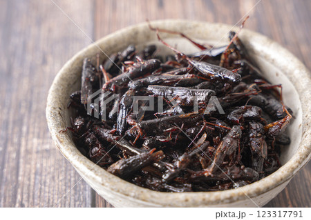 いなごの甘露煮 昆虫食 123317791