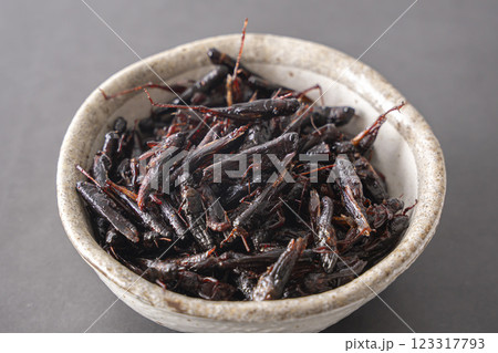 いなごの甘露煮 昆虫食 いなごの甘露煮 昆虫食 123317793
